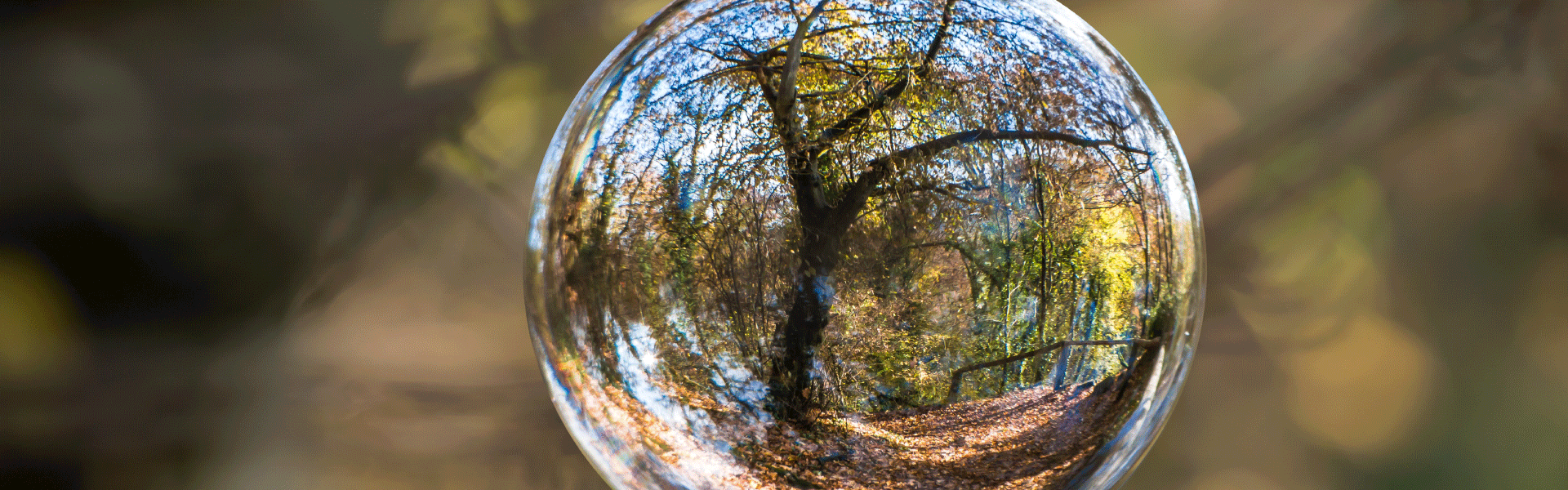 <span id="hs_cos_wrapper_name" class="hs_cos_wrapper hs_cos_wrapper_meta_field hs_cos_wrapper_type_text" style="" data-hs-cos-general-type="meta_field" data-hs-cos-type="text" >Lagring som klarar en krasch</span>