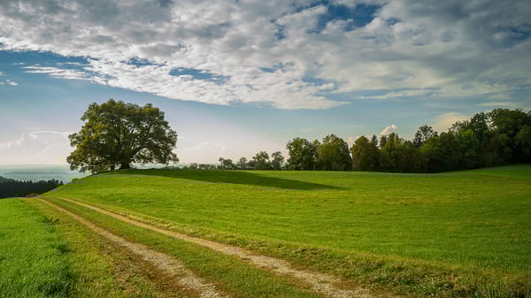 Advania fortsätter att växa hållbart