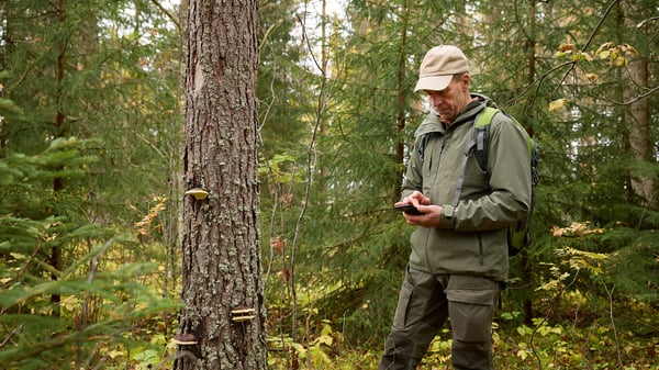 Från komplex geodata till tydliga beslut med AI
